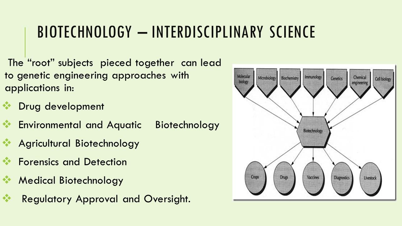 Environmental Biotechnology: Solutions for a Cleaner Planet